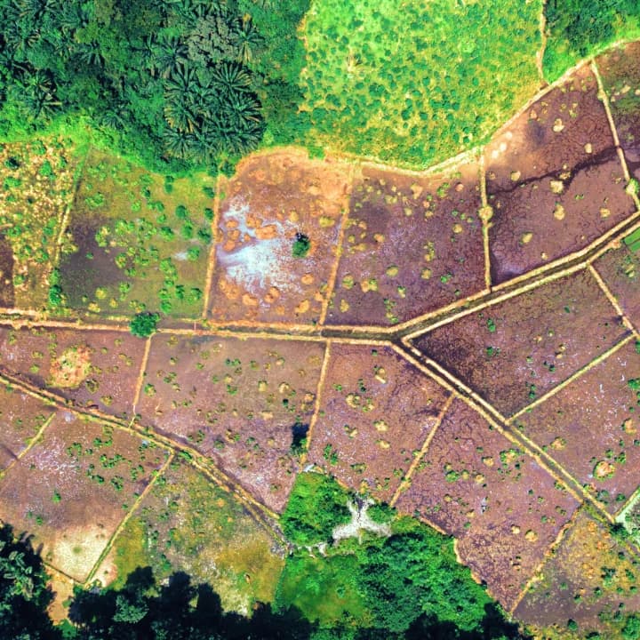 Land use and Land cover